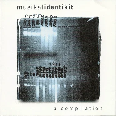 Musikal Identikit by Various Artists - album cover
