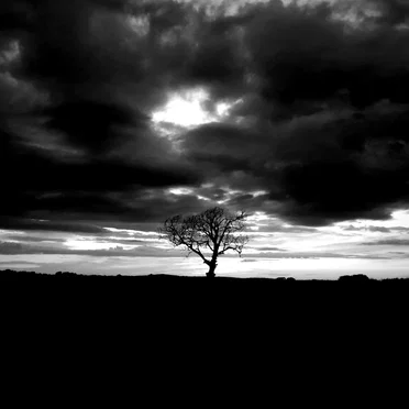 Under Stolen Skies by Unkindness of Ravens - album cover