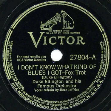 I Don't Know What Kind of Blues I Got / Are You Sticking?