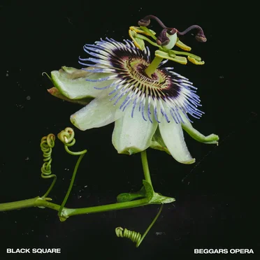 Beggars Opera by Black Square - album cover