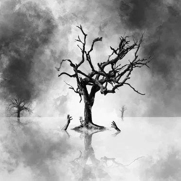 Drowning Tree by CKRAFT - album cover