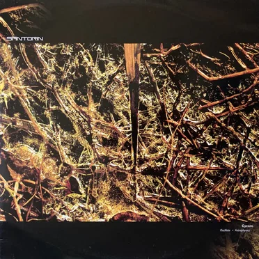 Oscillate / Astrophysics