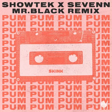 Pum Pum (MR.BLACK Remix)