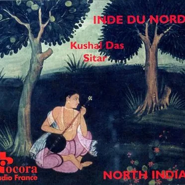 Inde du Nord: Sitar