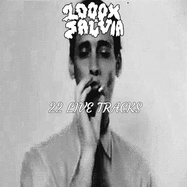 22 Live Tracks by 1000X Salvia - album cover