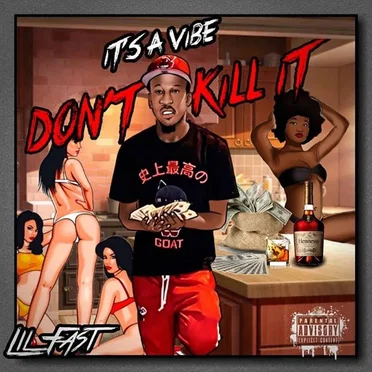 It's a Vibe Don't Kill It by Lil Fast - album cover