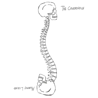 Siamese Spine Split