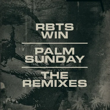 Palm Sunday - The Remixes by RBTS WIN - album cover