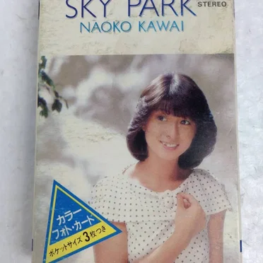 SKY PARK