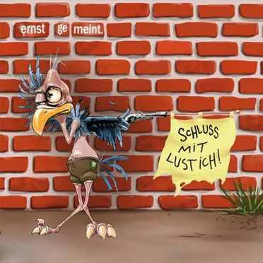 Schluss mit Lustich! by ernstgemeint. - album cover