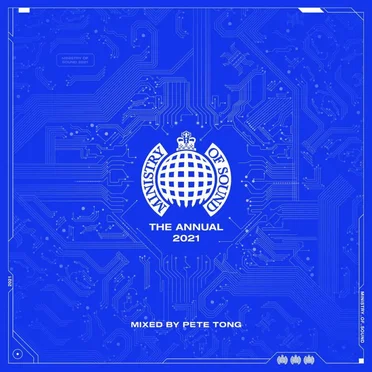 The Annual 2021 by Various Artists - album cover