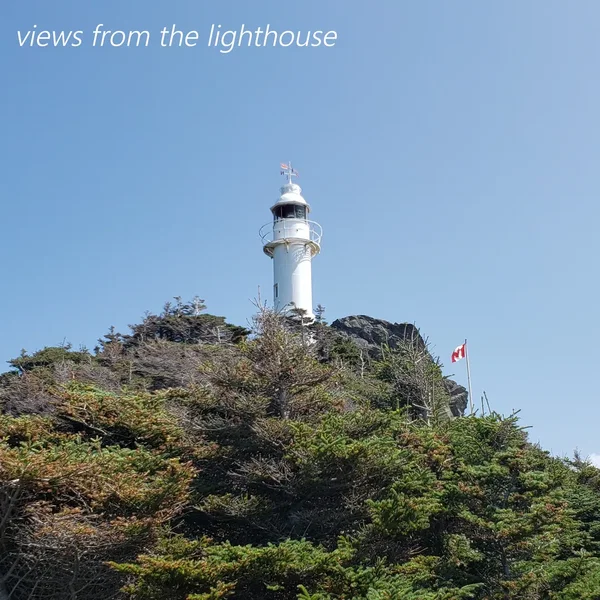Views From the Lighthouse
