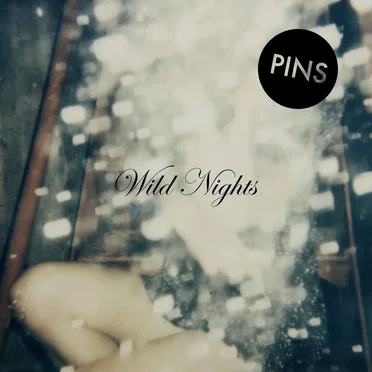 Wild Nights by PINS - album cover