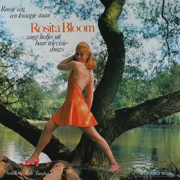 Roosje zag een knaapje staan by Rosita Bloom - album cover
