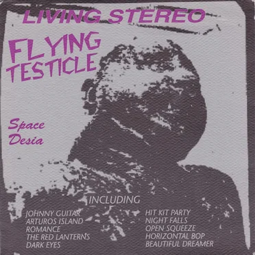Space Desia by Flying Testicle - album cover