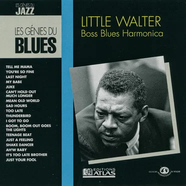 Boss Blues Harmonica