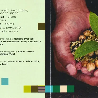 Seeds From the Underground