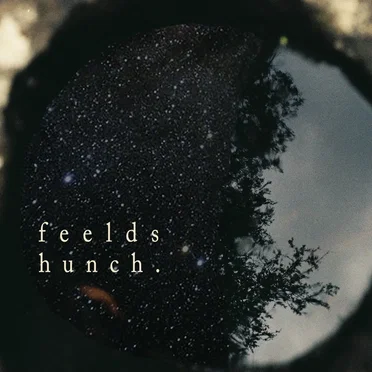 Hunch by Feelds - album cover