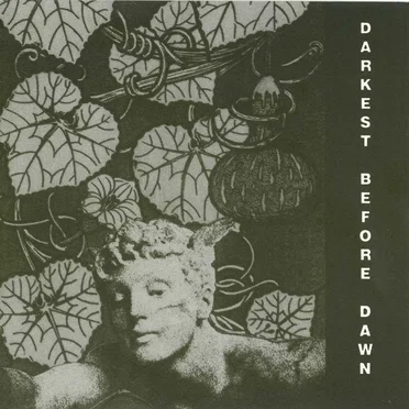 Darkest Before Dawn by Dark Day - album cover