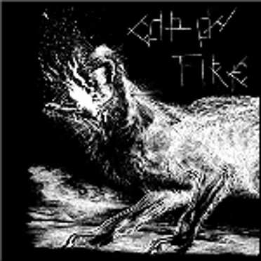 Discography by Cop on Fire - album cover
