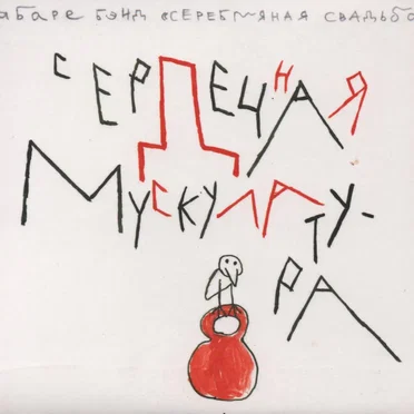 Сердечная мускулатура