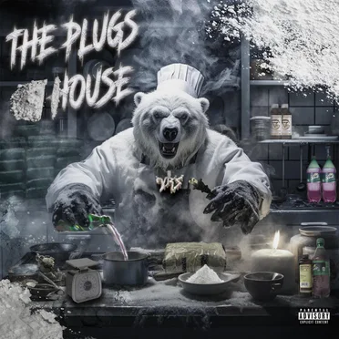 THE PLUGS HOUSE