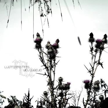 Lustrating Fires Ardent Rain by Niemandsluft - album cover