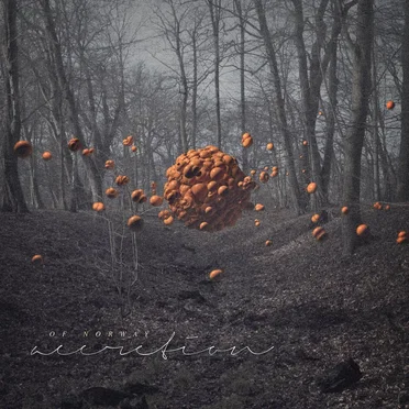 Accretion by Of Norway - album cover
