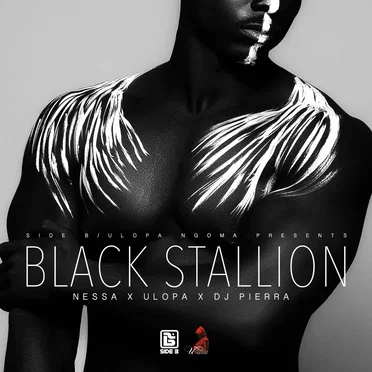 Black Stallion