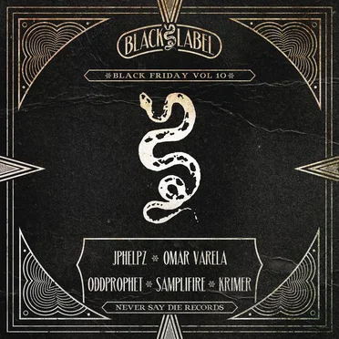 Black Friday, Vol. 10 by Various Artists - album cover