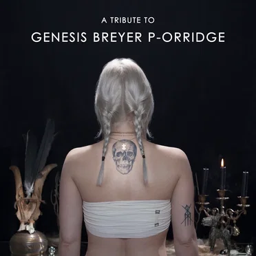 A Tribute to Genesis Breyer P-Orridge II by Various Artists - album cover