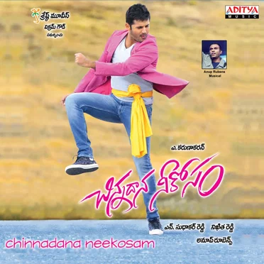 Chinnadana Neekosam