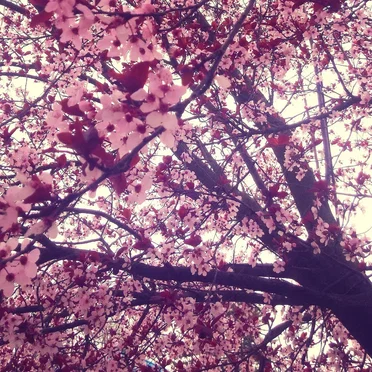 Spring-Time/Post-Irony