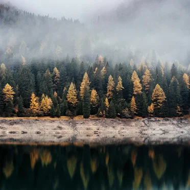 Live Archives, Volume 2