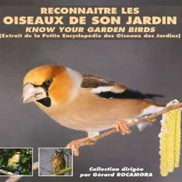 Reconnaître les oiseaux de son jardin / Know Your Garden Birds