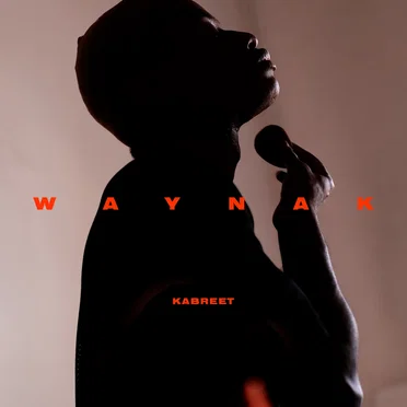 Waynak by Kabreet - album cover