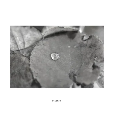 DSC5658 by Hideo Nakasako - album cover