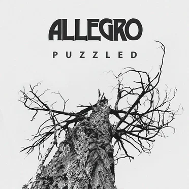 Puzzled by Allegro - album cover