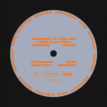 Running to the Sea (Disfreq remix)