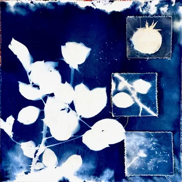 Faint Illusions by Farmer's Wife - album cover