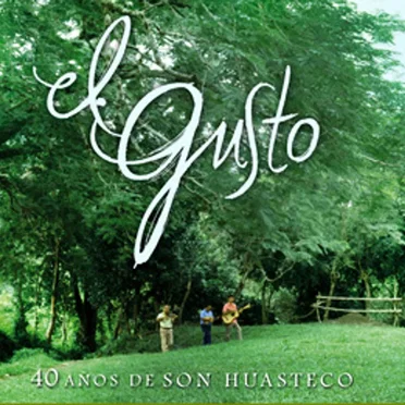 El gusto: 40 años de son huasteco by Various Artists - album cover