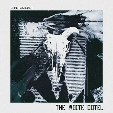 The White Hotel by Stupid Cosmonaut - album cover