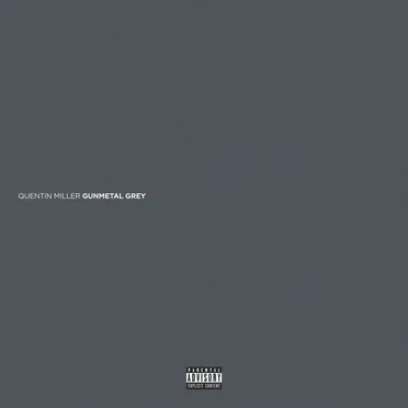 Gunmetal Grey