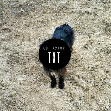 TXT