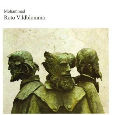 Roto vildblomma