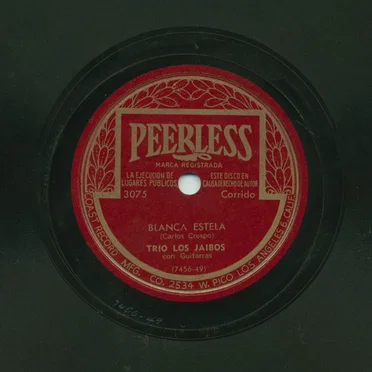 Blanca estela / Florecita