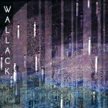 Black Neons by Wallack - album cover