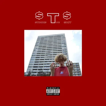 Stinks The Shit (STS) by Gius - album cover