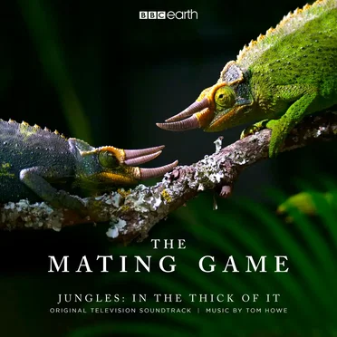 The Mating Game - Jungles: In The Thick Of It (Original Television Soundtrack)