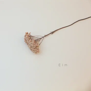 Elm